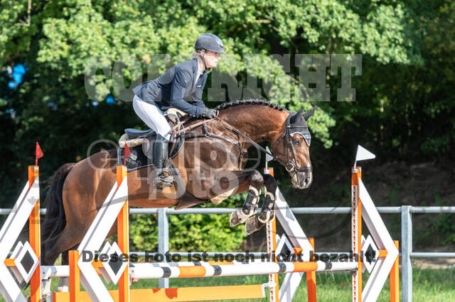 Late-Entry-Vielseitigkeit Langenfeld (06.+07.07.2020)