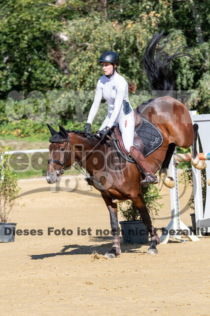 RFV Dinslaken-Hiesfeld (Herbstturnier)