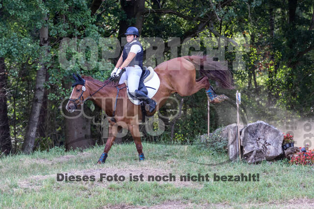 Late-Entry Vielseitigkeit Hamminkeln/Wesel (01.+02.08.2020)