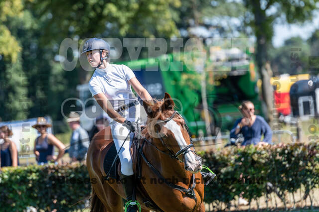 Kronenberg - De Peelbergen (August 2020)