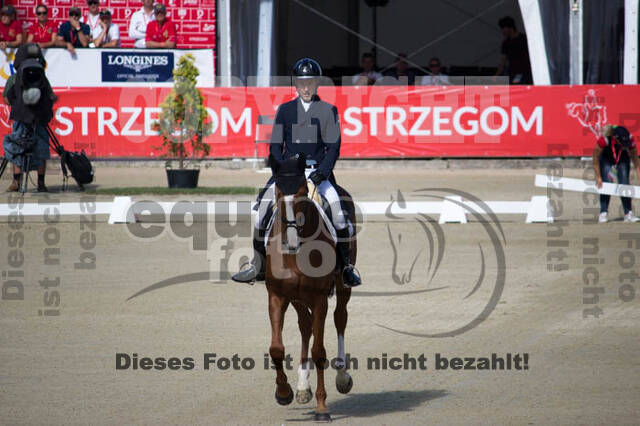 FEI European Championship Eventing 2017
