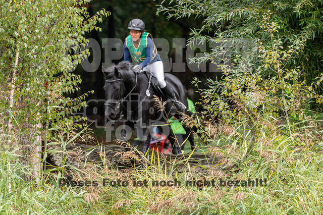 Vielseitigkeit RSV Wesel Obrighoven (26.+27.09.2020)