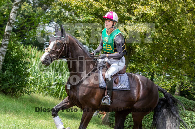 Late-Entry-Vielseitigkeit Gahlen (18.07.2020)