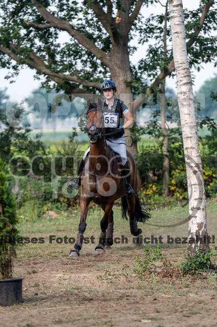 De Peelbergen (August 2020)