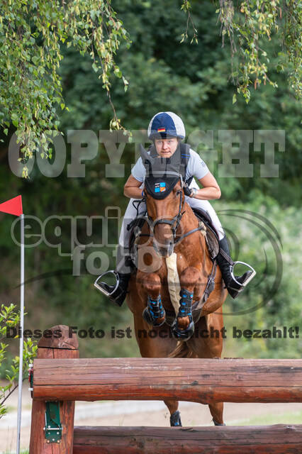 Late-Entry-Vielseitigkeit Langenfeld (11.+13./14.06.2020)