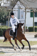 Eventing Langenfeld 2018