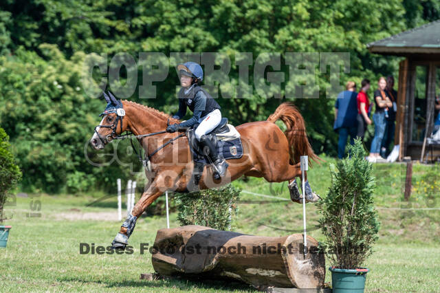 Goldene Schärpe 2021 - Ponys