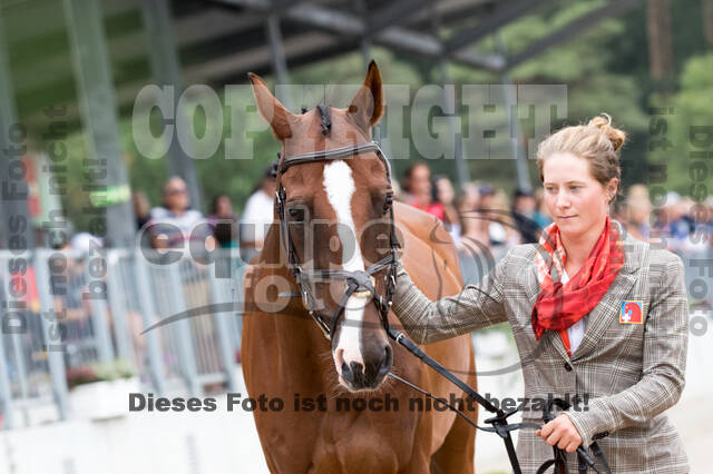 FEI European Championship Eventing 2019