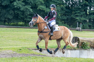 Goldene Schärpe 2021 - Ponys