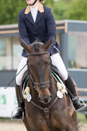 Sterne über Münster 2019 - CCI***S