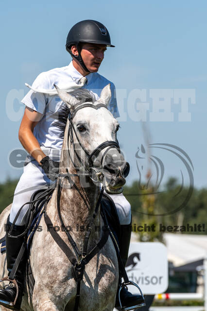Kronenberg - De Peelbergen (August 2020)
