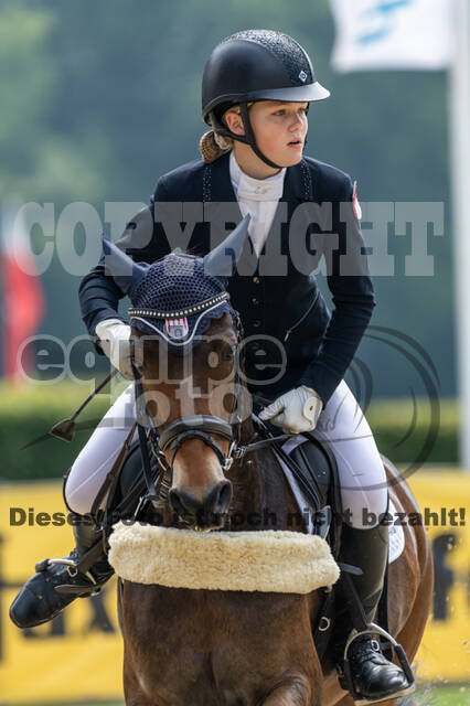 Goldene Schärpe 2021 - Ponys