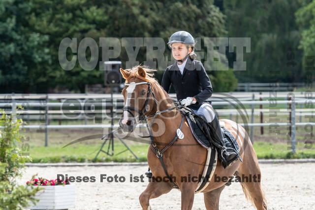 Late-Entry-Vielseitigkeit Langenfeld (06.+07.07.2020)