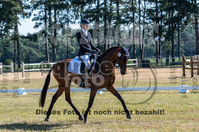 Kronenberg - De Peelbergen (August 2020)