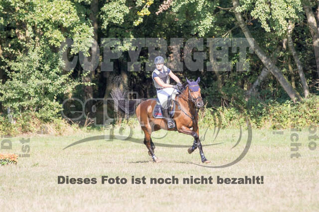 Vielseitigkeitsturnier RSV St. Hubertus Wesel Obrighoven