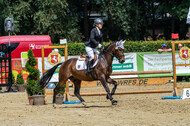 Goldene Schärpe 2021 - Ponys