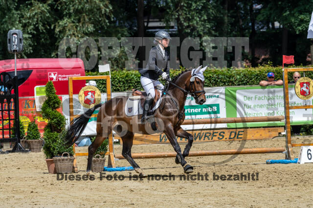 Goldene Schärpe 2021 - Ponys