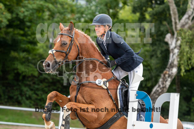 Late-Entry-Vielseitigkeit Langenfeld (06.+07.07.2020)