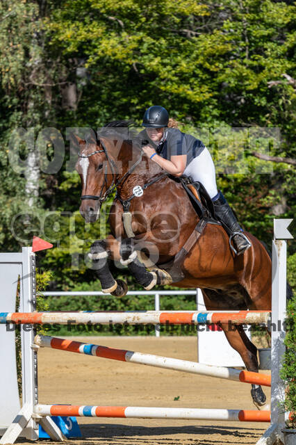 RFV Dinslaken-Hiesfeld (Herbstturnier)