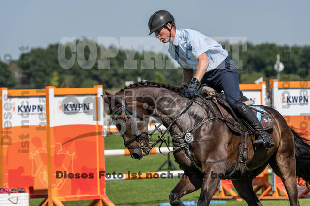 Kronenberg - De Peelbergen (August 2020)