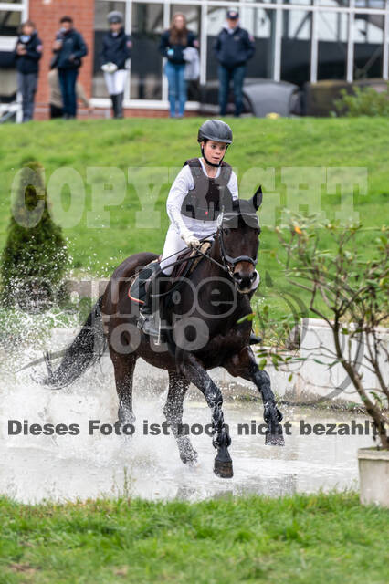 Goldene Schärpe 2020 - Pferde