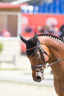 FEI European Championship Eventing 2017