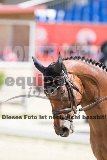 FEI European Championship Eventing 2017