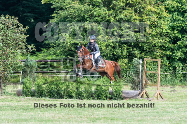 Goldene Schärpe 2021 - Ponys