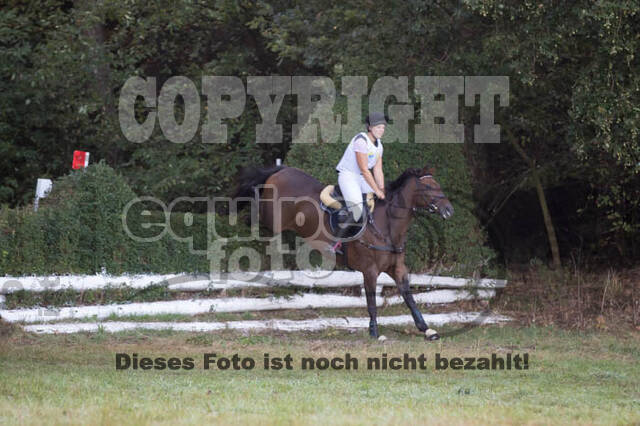 Vielseitigkeitsturnier RSV St. Hubertus Wesel Obrighoven