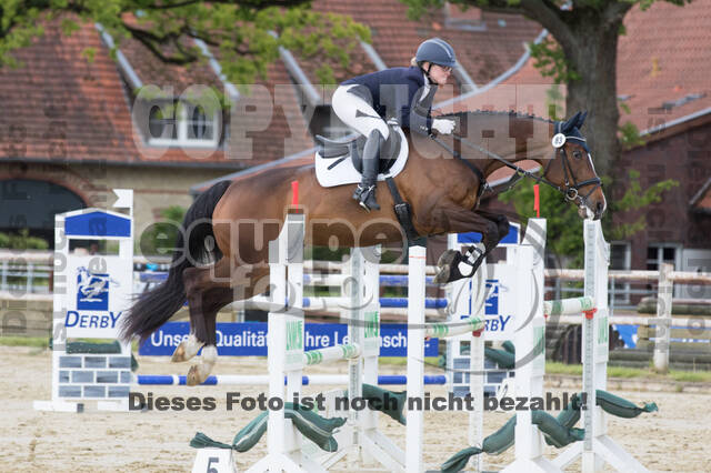 Sterne über Münster 2019 - CCI***S