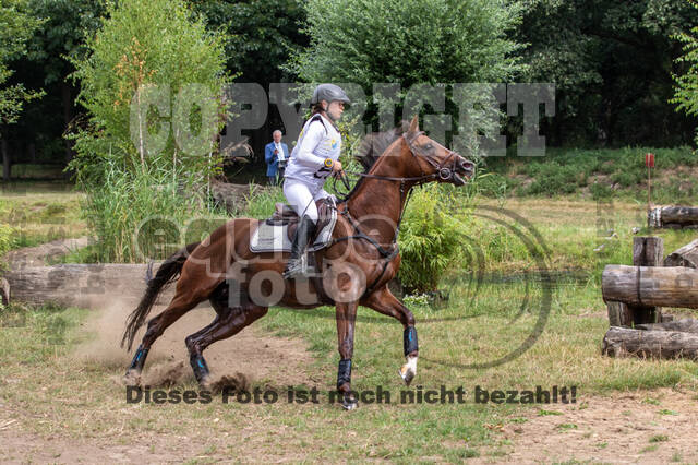 Late-Entry Vielseitigkeit Hamminkeln/Wesel (01.+02.08.2020)