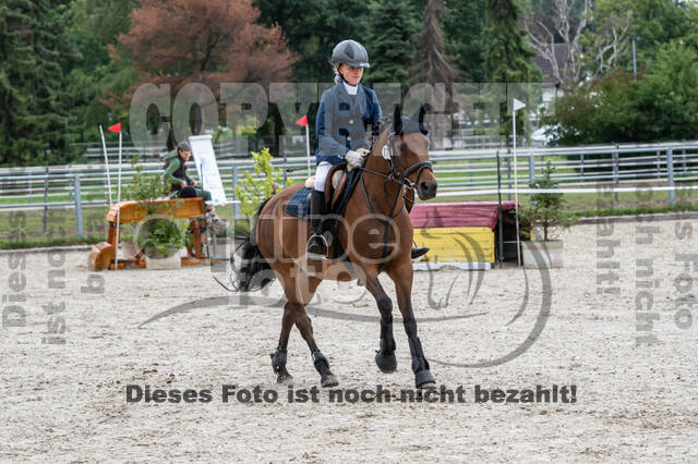 Late-Entry-Vielseitigkeit Langenfeld (06.+07.07.2020)