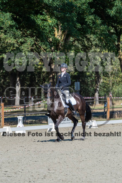 Kronenberg - De Peelbergen (August 2020)