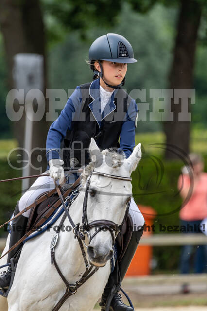 Goldene Schärpe 2021 - Ponys