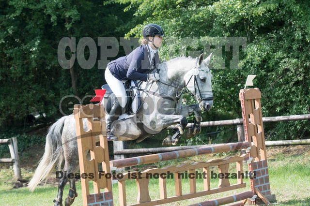 Vielseitigkeitsturnier ZRuFV von Lützow Hamminkeln