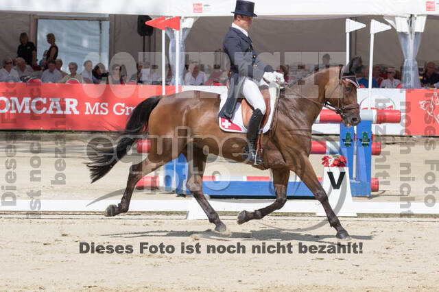 European Championship Eventing 2017