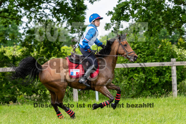 Westerstede Horse Trials 2021