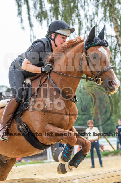 Hunter Geländetraining 10.07.2021 (Sonsbeck)