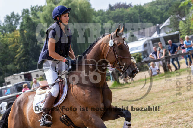 Late-Entry Vielseitigkeit Hamminkeln/Wesel (01.+02.08.2020)