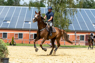 Hunter Geländetraining 10.07.2021 (Sonsbeck)
