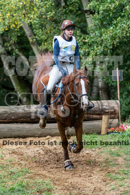 Vielseitigkeit RSV Wesel Obrighoven (26.+27.09.2020)