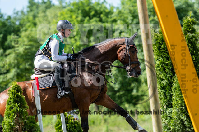 Westerstede Horse Trials (10.-13.06.2021)