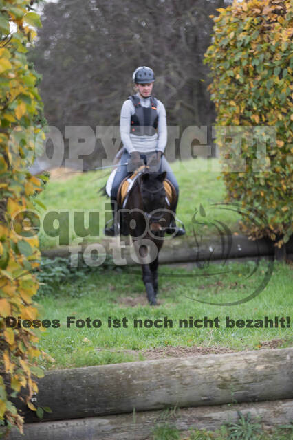 IGV Lehrgang der Sieger der Cups mit Frank Ostholt