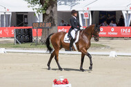 FEI European Championship Eventing 2017