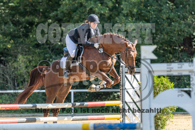 RFV Dinslaken-Hiesfeld (Herbstturnier)