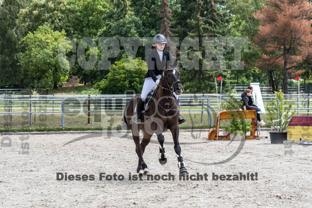 Late-Entry-Vielseitigkeit Langenfeld (06.+07.07.2020)