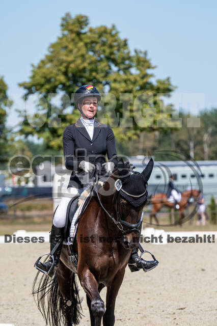 Kronenberg - De Peelbergen (August 2020)