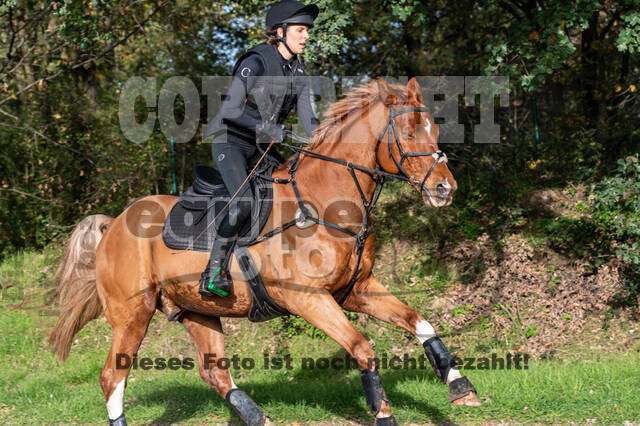IGV Lehrgang der Sieger der Cups mit Frank Ostholt
