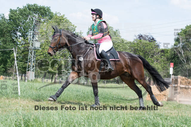 Vielseitigkeitsturnier ZRuFV von Lützow Hamminkeln