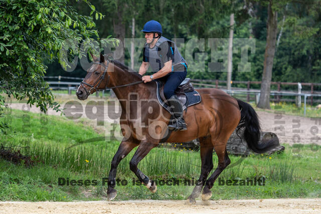 Hunter Geländetraining 10.07.2021 (Sonsbeck)